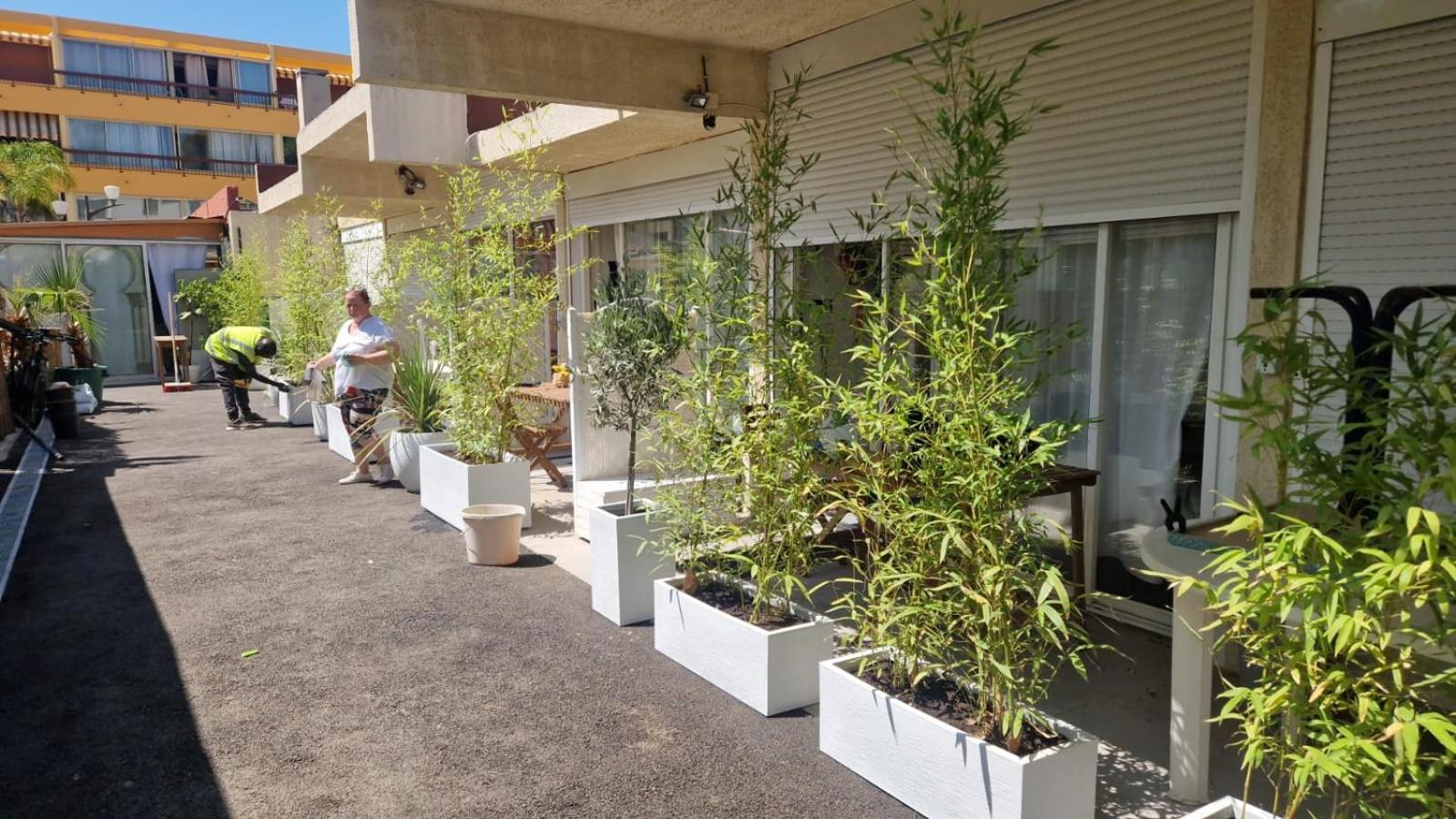 Asklan Apartment Bormes-les-Mimosas Luaran gambar
