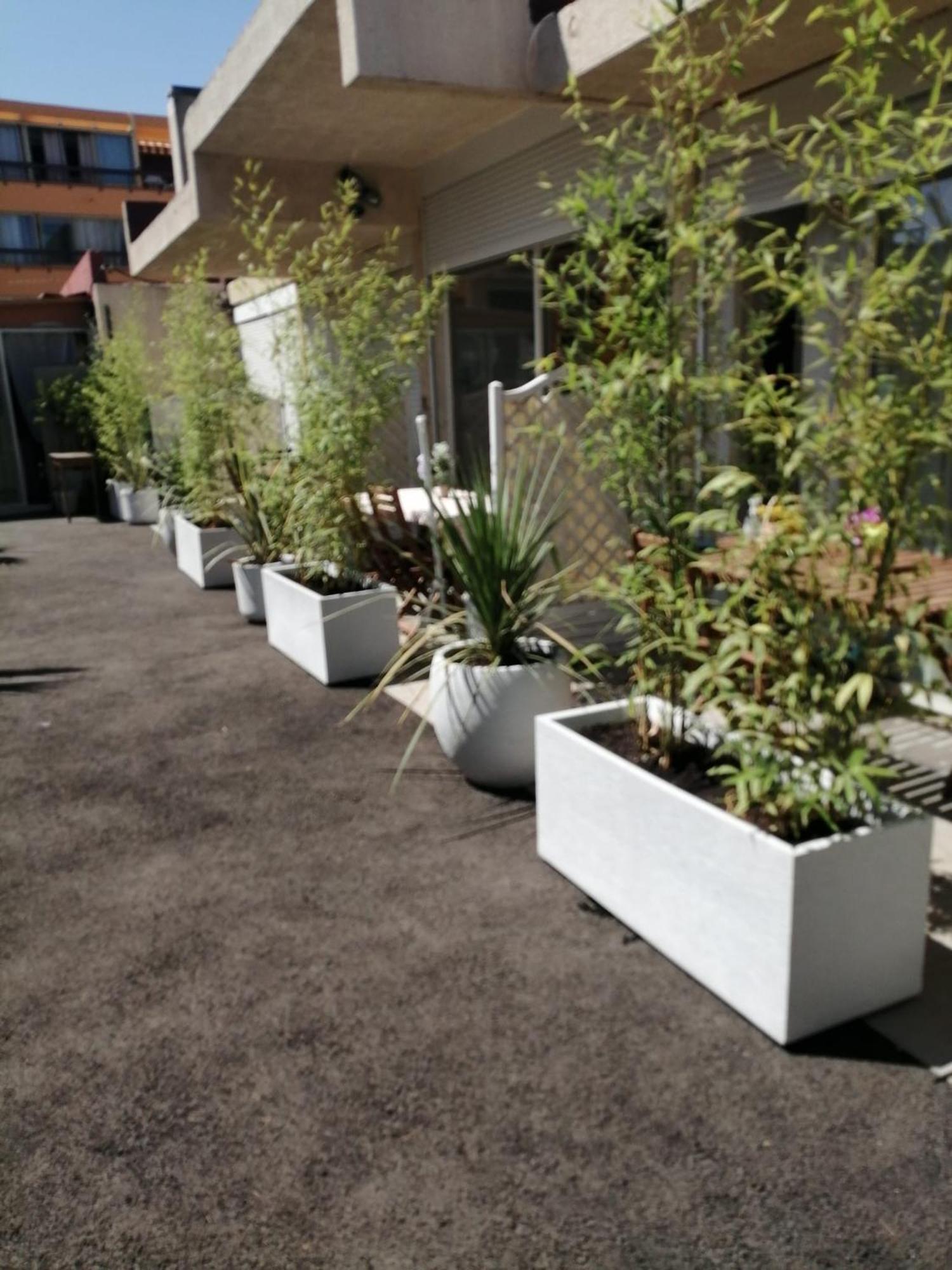Asklan Apartment Bormes-les-Mimosas Luaran gambar