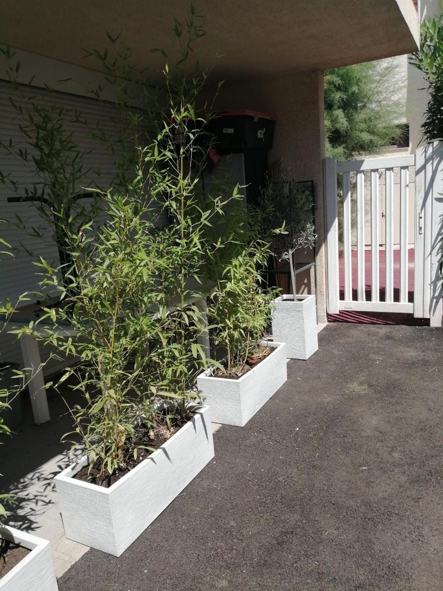 Asklan Apartment Bormes-les-Mimosas Luaran gambar